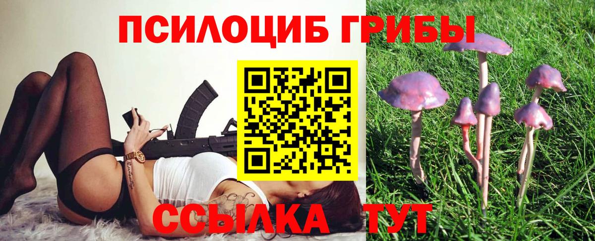 Галлюциногенные грибы прущие грибы Костомукша